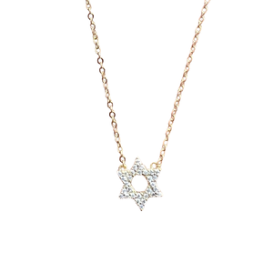 Mini Star Magen David Necklace